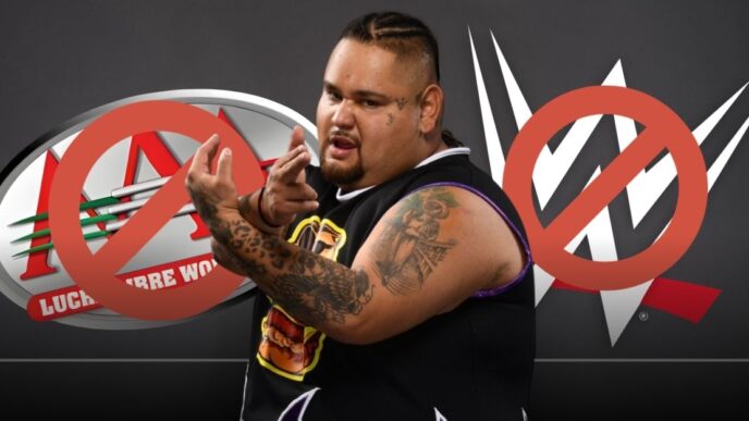 Niño Hamburguesa fuera de Triple A y WWE tras polémico video golpeando a un aficionado